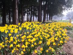 -国家植物园南园