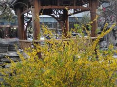 -北京邮电会议中心