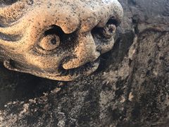 -斯蒂芬主教座堂(Stephansdom)