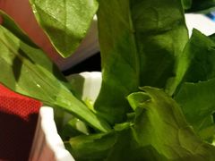 -食鲜捞火锅(湖西路店)
