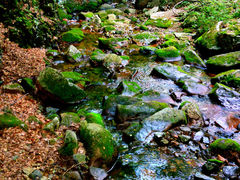 -本溪汤沟绿石谷森林公园