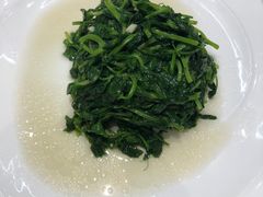 -丁老爷子苏香圆