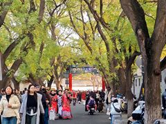 -北京国子监胡同