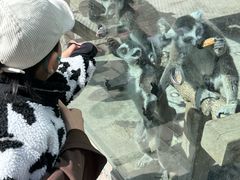 -水上乐园·欢乐世界