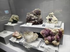 -湖南省地质博物馆