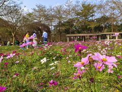 -田野绿世界