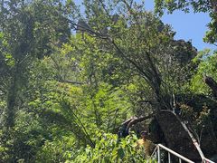 -七仙岭温泉国家森林公园