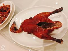 -利苑酒家(华熙国际店)