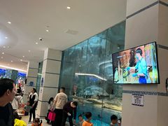 -帝企鹅自助餐厅•儿童岛•真企鹅(长隆企鹅酒店)