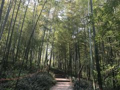 -南山风景名胜区