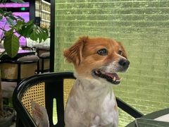 -锦府盐帮·私宴(赛特店)