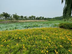 -长广溪湿地公园