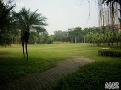 -东风公园