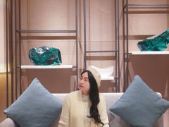 -广州奥园喜来登酒店