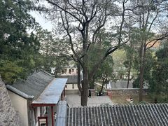 -香山公园