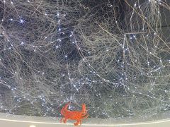 -徐记小怪兽肉蟹煲(中央大街店)
