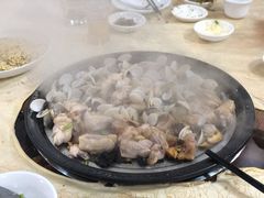 白贝-渔文乐农庄