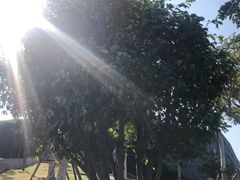 -五通灯塔公园