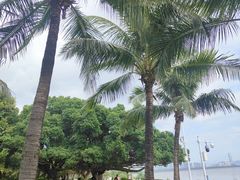 -深圳湾公园(南山区)
