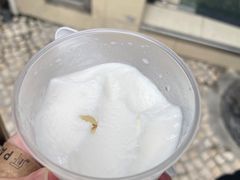 -洪馨椰子