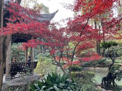 -成都武侯祠博物馆