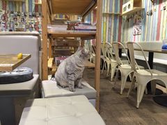 -小时光咖啡馆(开森度假森林店)