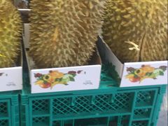 -叶氏兄弟(大连奥特莱斯店)