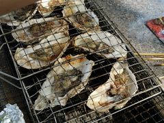 -吴淞炮台湾湿地森林公园烧烤区