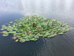 -尚贤河湿地