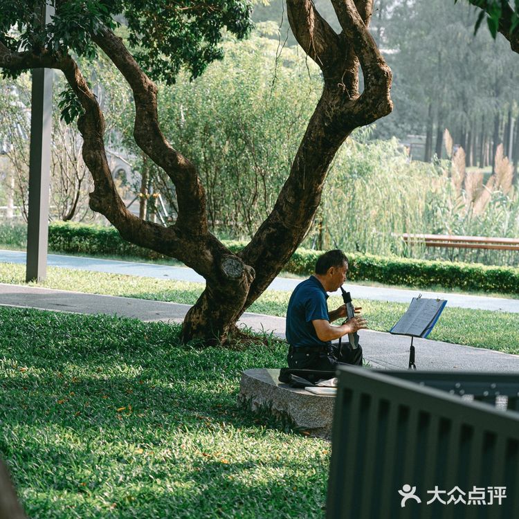 扫街日记📸•深圳蛇口人的青春| 四海公园💚