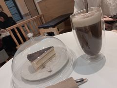 -滚猫咖啡·猫咖·猫友好撸猫(未来城店)
