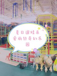 -爱丽丝奇幻乐园