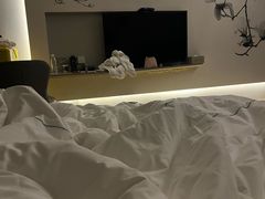 -白玉兰酒店(上海田子坊马当路地铁站店)