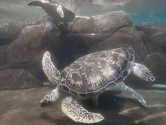 -福州罗源湾海洋世界旅游区