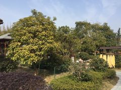 -咸宁万豪温泉谷度假区