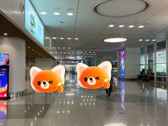 -厦门高崎国际机场-T4航站楼