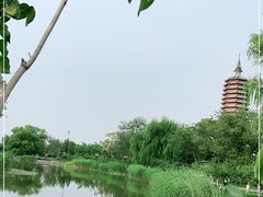 -西海子公园
