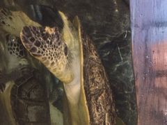 -福州罗源湾海洋世界旅游区