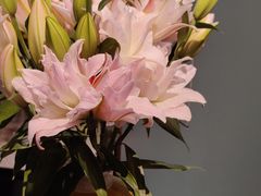 -南堂馆·新川菜(春熙路店)