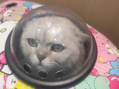 -瑞派·关忠动物医院·猫专科·犬专科(三环新城店)