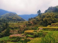 -林坑古村落