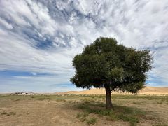 -亿利库布其七星湖沙漠生态旅游区