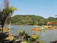 -深圳仙湖植物园