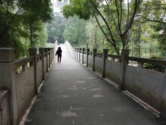 -重庆彩云湖湿地公园