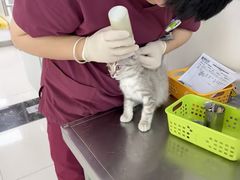 -美联众合动物医院·24h京西诊疗中心