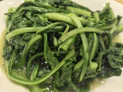 油麦菜-湘肠香火锅店(团结湖店)