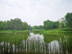 -东郊湿地公园