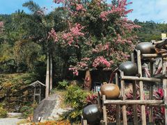 -广东天露山旅游度假区