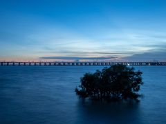 -宝安西湾红树林湿地公园