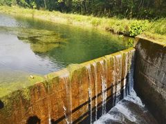-海南热带雨林国家公园吊罗山景区
